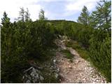 Alpengasthof Siebenhütten - Petzen (Kordeschkopf) (Peca (Kordeževa glava))